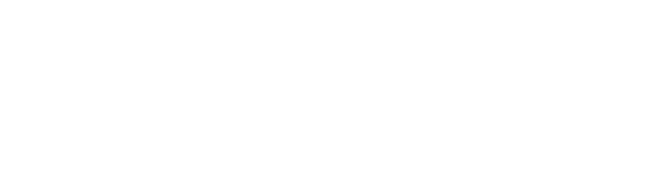 weasy logo